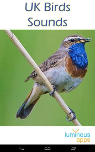 UK Birds Sounds Free स्क्रीनशॉट 9