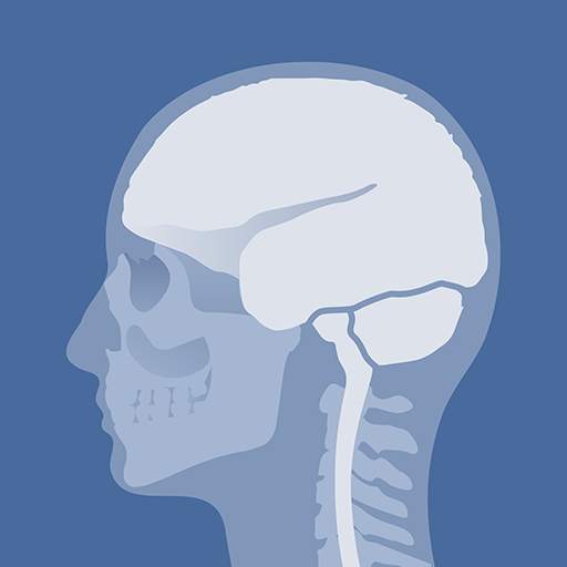 Head Atlas 2.35