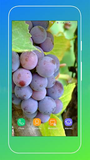 Grapes Wallpapers HD screenshot 15