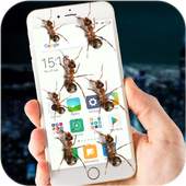 Ants On Screen Funny Joke 1.2