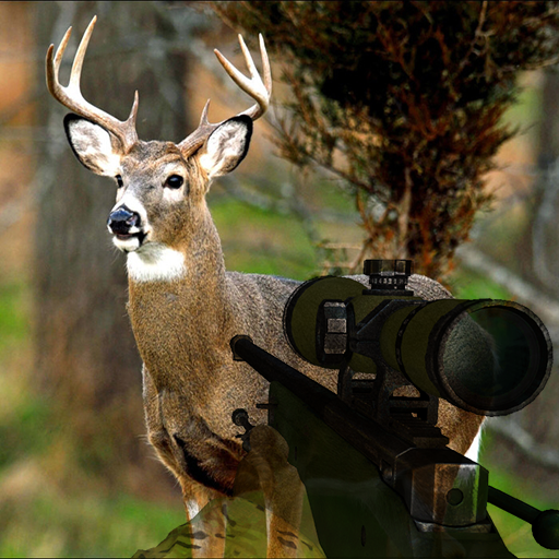Animal Hunting Game 3d 2018 Free: Wild Hunt icon