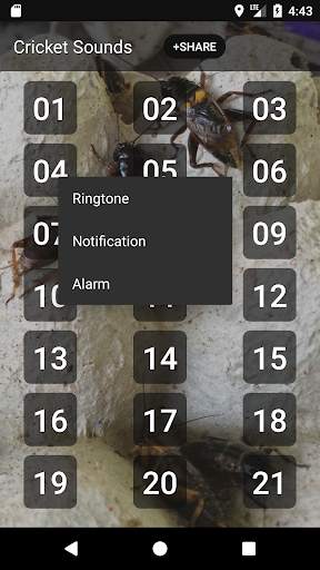 Cricket Sounds screenshot 2