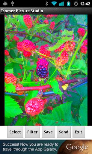 Isomer Picture Studio screenshot 5