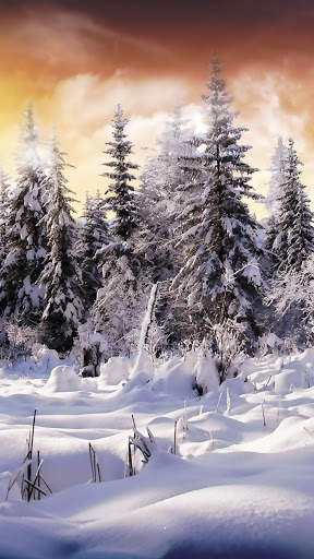 Winter Snow APUS Live Wallpaper screenshot 6