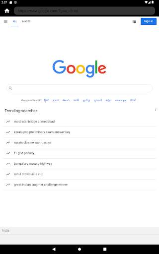 Private Browser - Incognito screenshot 8