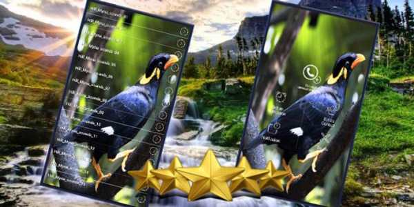 Hill Myna Bird Sounds screenshot 1