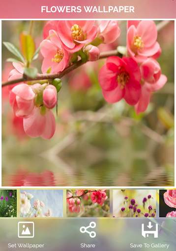 Flowers Wallpaper screenshot 13