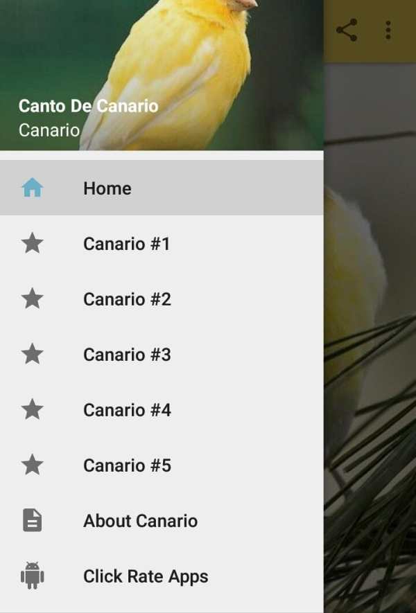 Canto De Canario Timbrado 1 تصوير الشاشة