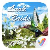 Lark Birds Parallax V Launcher Theme 1.00