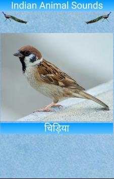 Indian Animal Sounds screenshot 8