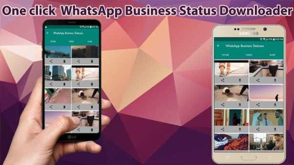 WA Business Status Saver (for Whatsapp Business) screenshot 2