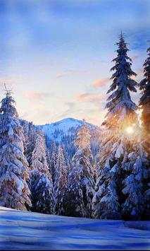 Snow Winter Forest 2015 स्क्रीनशॉट 5
