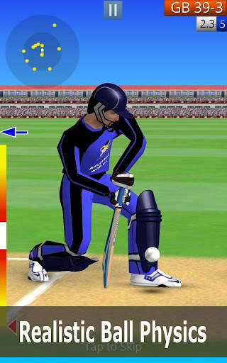 Smashing Cricket: cricket game screenshot 19