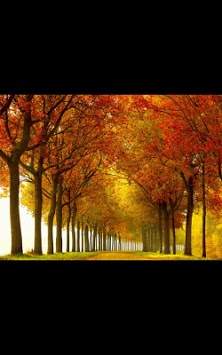Leaf Fall live wallpaper screenshot 3