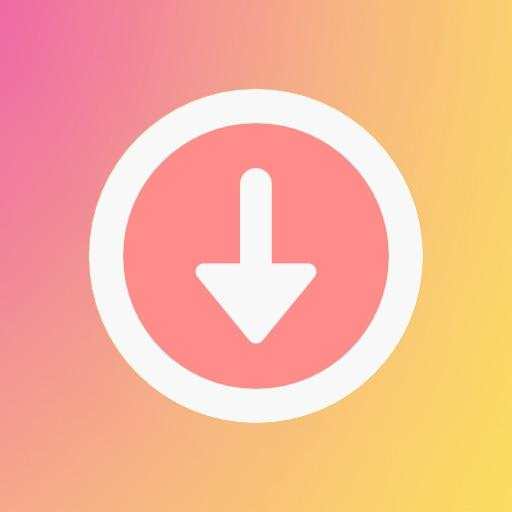 Story Saver - Downloader for Instagram 1.0