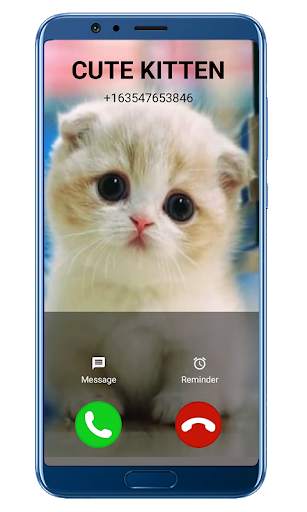 Fake Call Video Cat - simulator screenshot 3