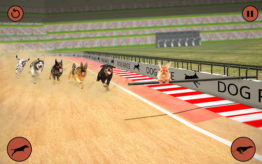 Ultimate Dog Racing: Wild Animal Racing Simulator screenshot 3