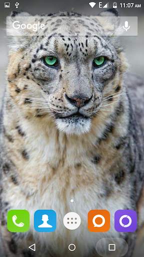 Snow Leopard Hd Wallpaper screenshot 4