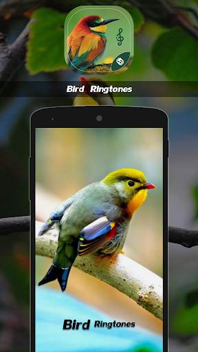 Latest Bird Ringtones 2021 screenshot 2
