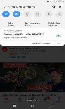 ProxyLite GTM скриншот 3