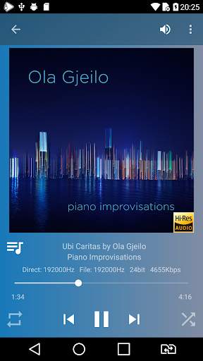 USB Audio Player PRO screenshot 3