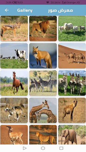Animal world screenshot 6