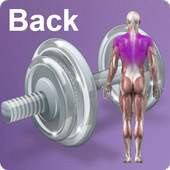 Daily Back Video Workouts 1.8