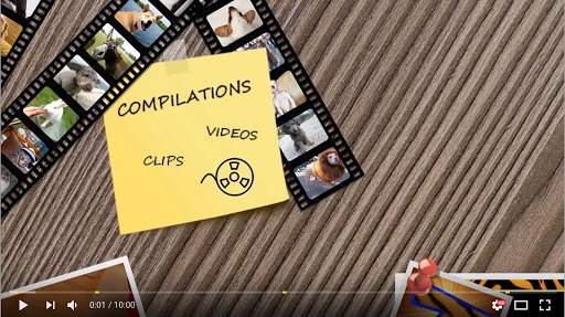 Funny Videos screenshot 4