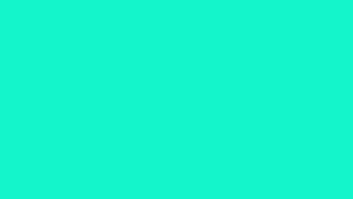 Color Madness screenshot 13