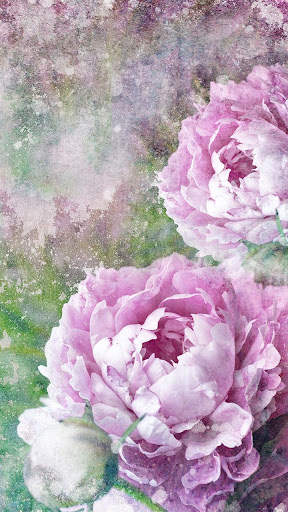 Vintage Roses Live Wallpaper screenshot 5