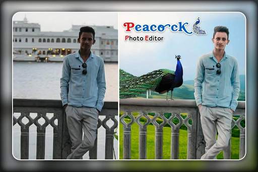 Peacock Photo Editor 2 تصوير الشاشة