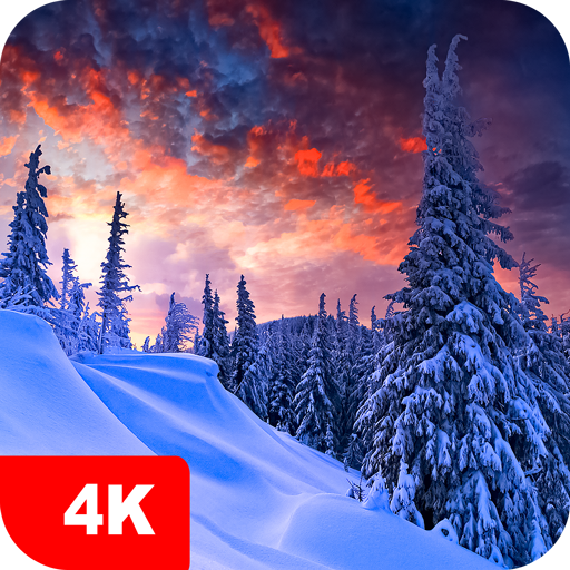 Winter Wallpapers 4K أيقونة