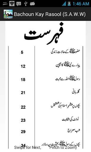 Hamaray Rasool स्क्रीनशॉट 5