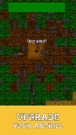 Ant Evolution - ant colony and terrarium simulator screenshot 4