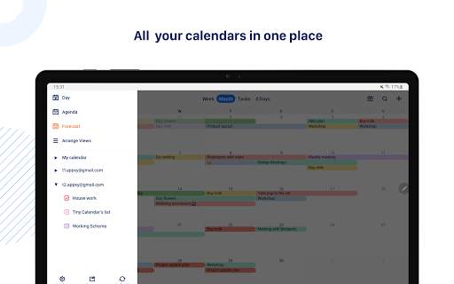 Tiny Calendar: Planner & Tasks screenshot 14