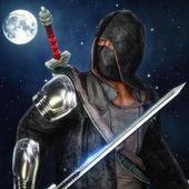 Ninja Master Assassin Hero icon