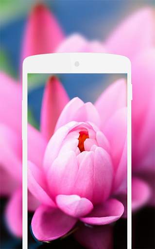 Pink Wallpaper 8 تصوير الشاشة