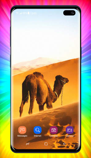 Desert Wallpaper screenshot 1