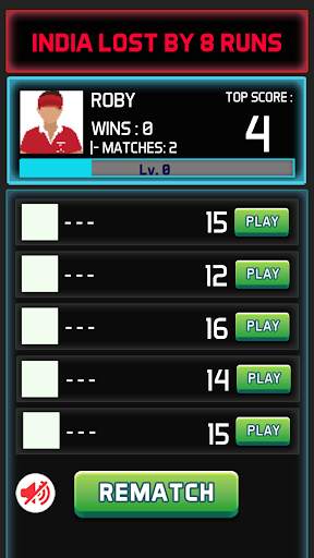 World Cricket Game Champion screenshot 2