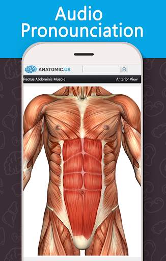Anatomy Game Anatomicus Lite screenshot 2