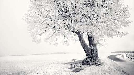 Nature Live Wallpaper screenshot 9