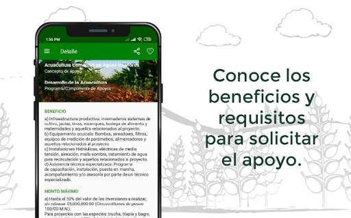 Apoyos Agricultura screenshot 3
