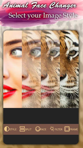 Animal Insta Face Changer Morphing screenshot 6