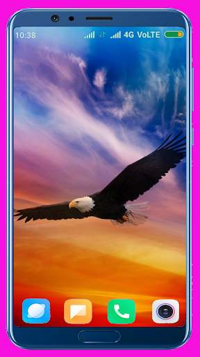 Eagle Wallpaper Best 4K screenshot 8