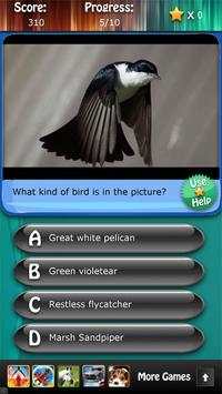 Bird Species Quiz HD screenshot 3