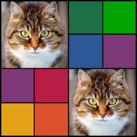CAR & ANIMAL MEMORY FREE: COLORFUL GAME FOR ADULTS