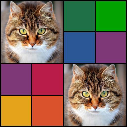 CAR & ANIMAL MEMORY FREE: COLORFUL GAME FOR ADULTS 1