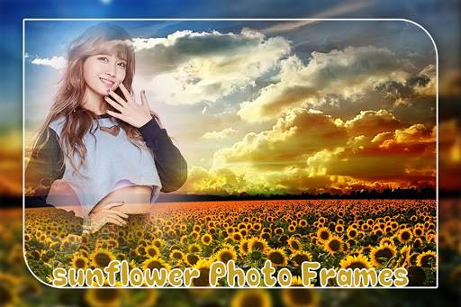 Sunflower Photo Frame screenshot 4