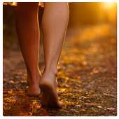 Walking for Weight Loss E-book on 9Apps