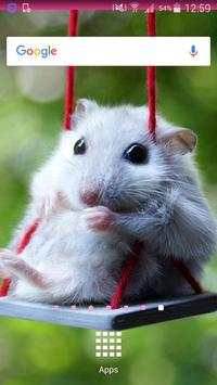 Hamster Wallpapers screenshot 1